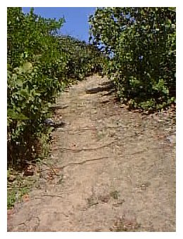 The Trail To El Ojo Del Buey